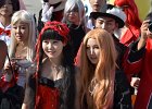 DSC 0131