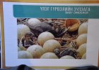 DSC 0200
