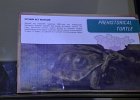 DSC 0217